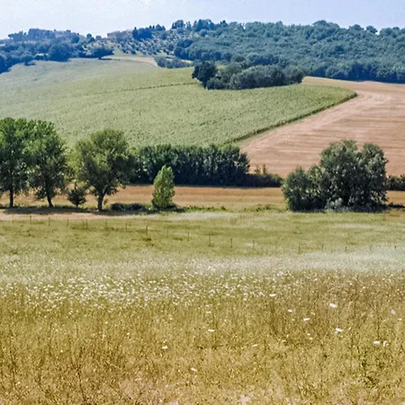 Pet Friendly In Holiday home