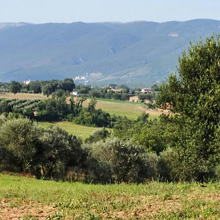 Pet Friendly In Casa vacanze