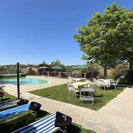 Pet Friendly In