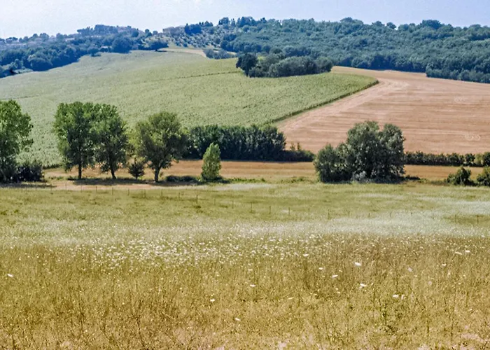 Pet Friendly In 別荘