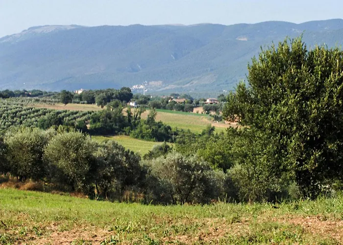 Pet Friendly In Prázdninový dům